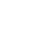 Ícone 1
